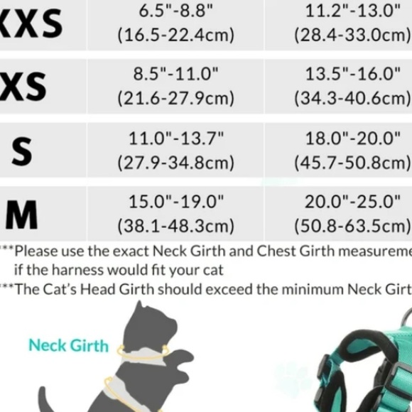 Teal Cat Harness and Leash Set - Picture 8 of 8